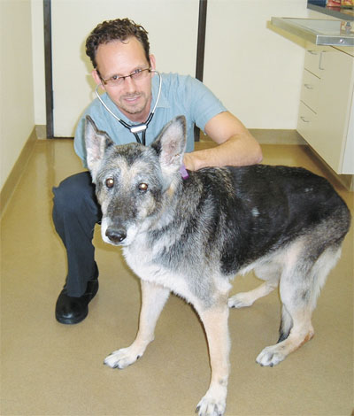 dr taetle at pima north animal hospital